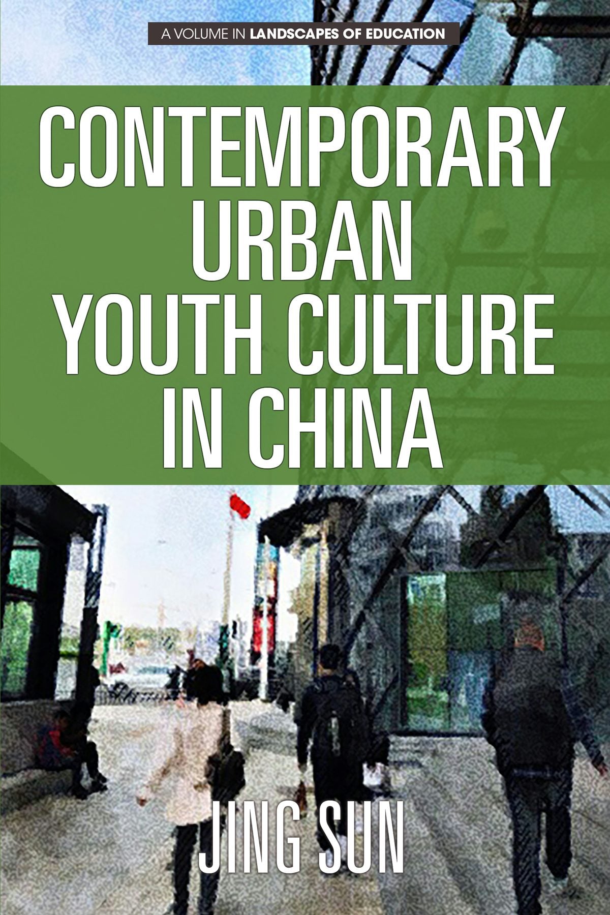 Book cover image for Contemporary Urban Youth Culture in China ISBN: 9781641138895
